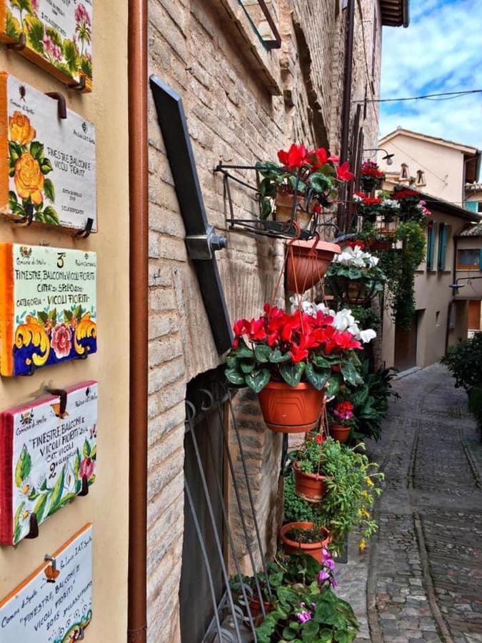Appartamento Palma Spello Exterior photo